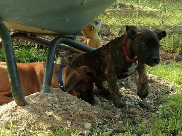 Paco und Lilly