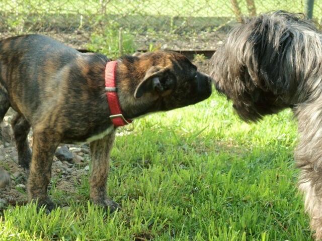Anschiss von Jaccy ! ;-)
