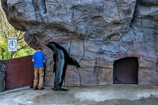 Im Stadtpark-Zoo Karlsruhe