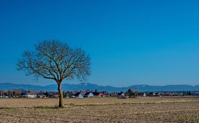 Weitsicht