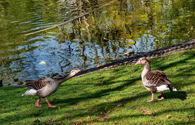 Im  Karlsruher Stadtpark