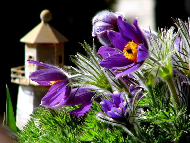 ...gefiel mir