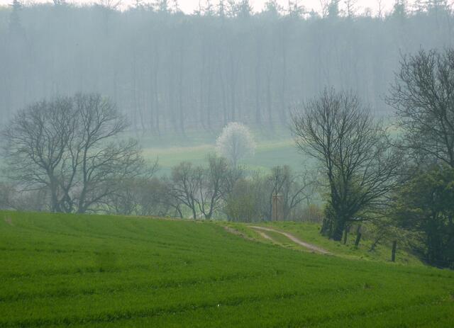 Beim Aufstieg zum Schweineberg lag die Landschaft noch im Dunst.