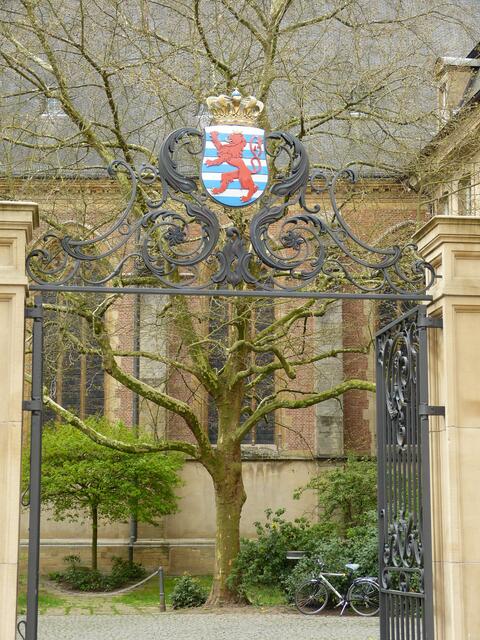 Der rote Löwe,das Wappen der Stadt Luxemburg.