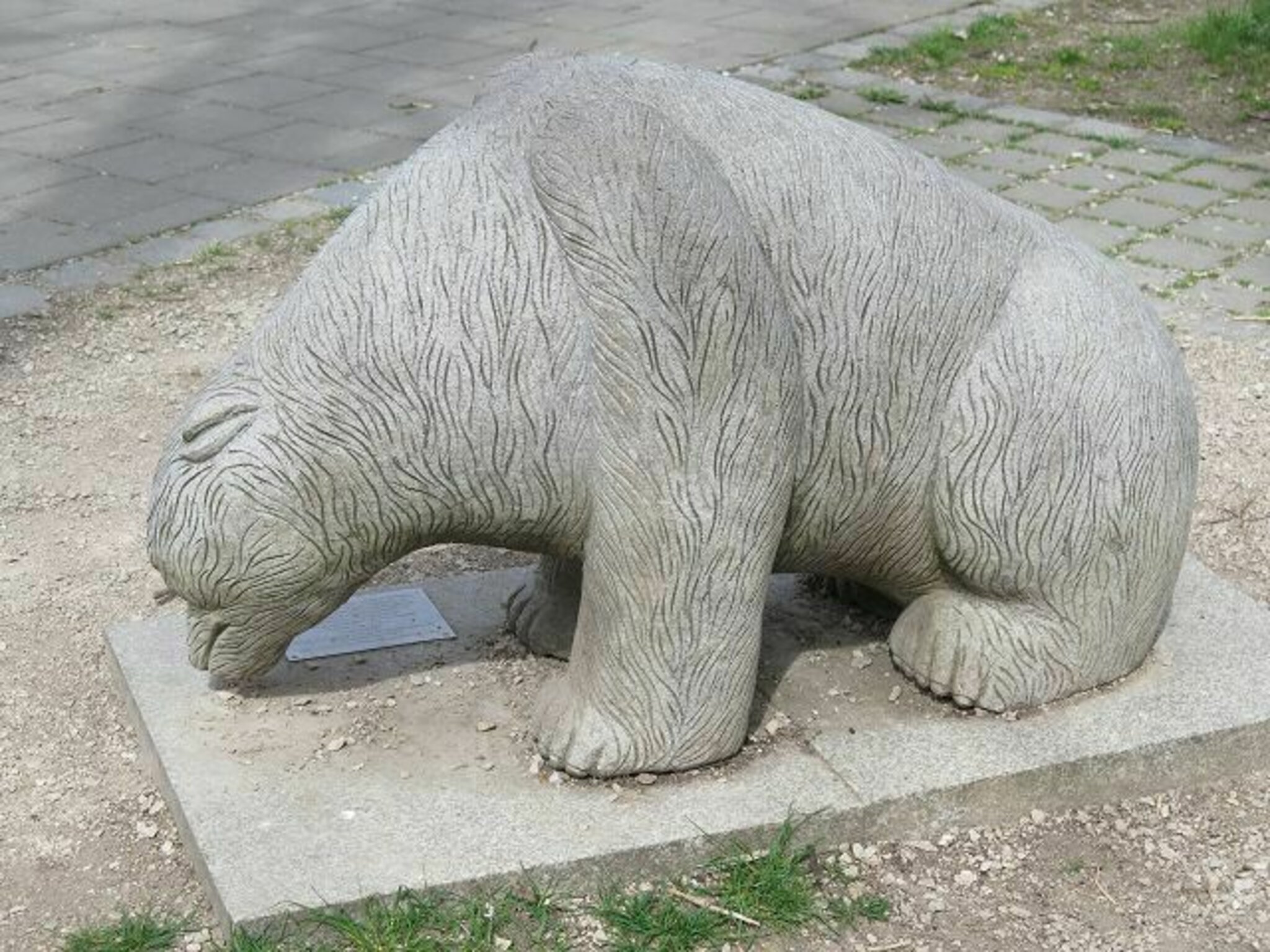 BärenkellerBär Augsburg