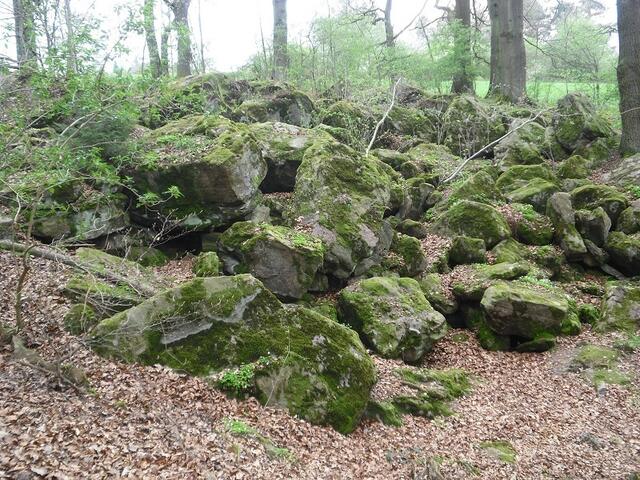Das Trümmerfeld im Naturdenkmal Felsenmeer