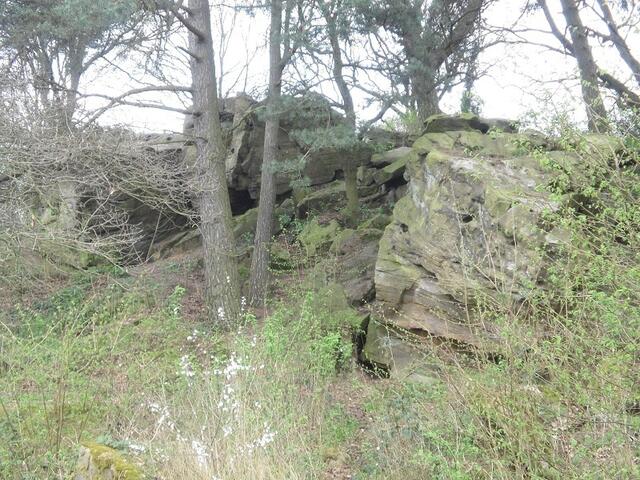 Naturdenkmal "Dicke Steine"
