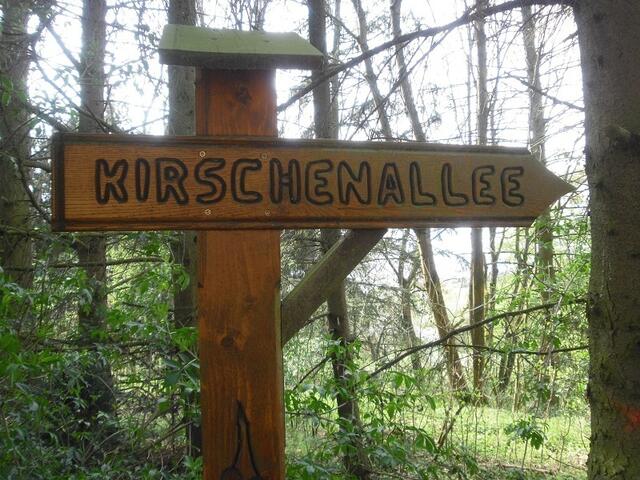 Das Schild zeigt den Weg zur Kirschenallee