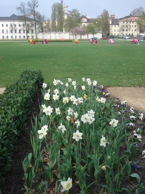 Der Lustgarten ist für alle zugänglich - auch der Rasen!