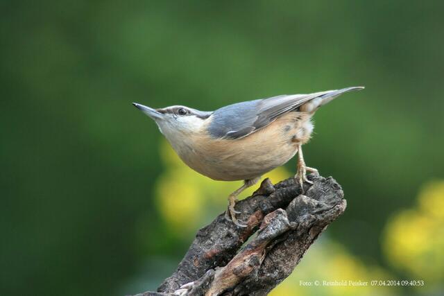 Abgelichtet, mit einer Canon 1000D.