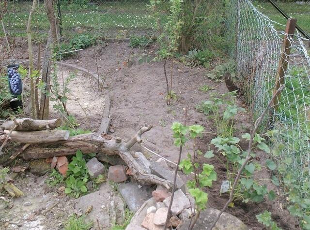 Die Ecke hinter der Seinmauer-mit Beerenobst bepflanzt und ab jetzt mit 2 Malven -am Zaun rechts-verschönert