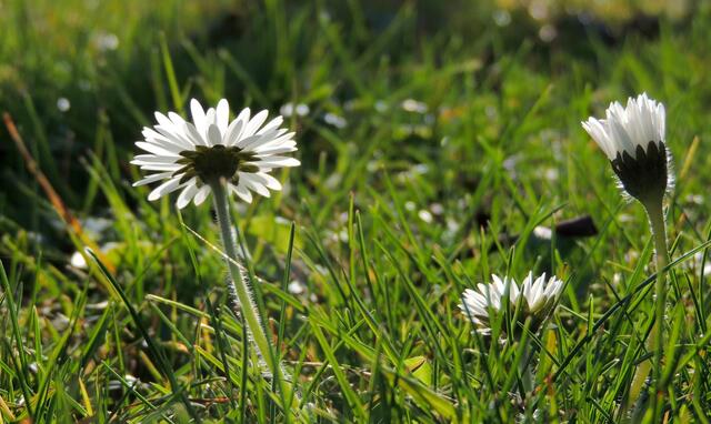 ...wir lieben die Sonne.