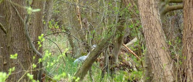 Ein Suchbild: Wer versteckt sich hier?