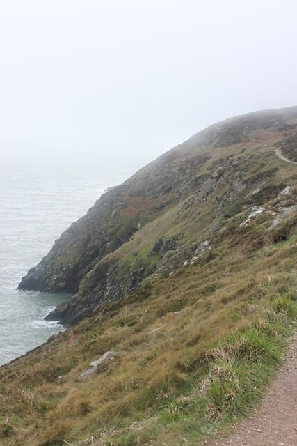 Auf dem Howth Cliffwalk...