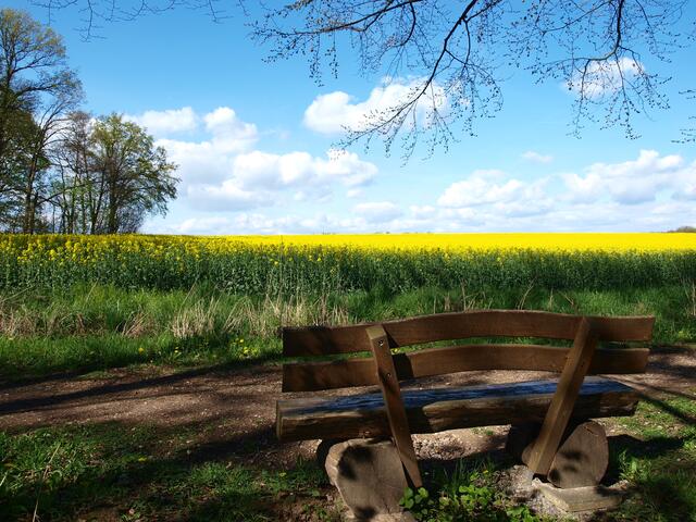 Die Fuchbach-Bank. Wer hier vorbei geht, .....