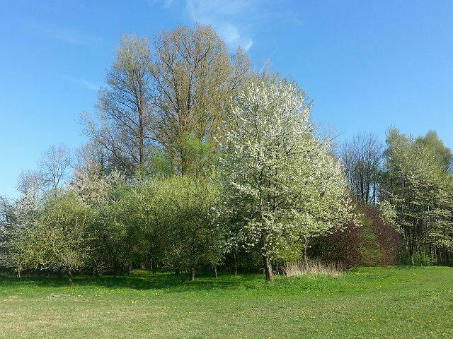 strahlend blauer Himmel