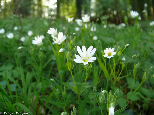 ...hier gibt es viel zu entdecken