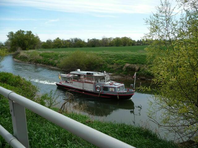 Die Reblaus kurz vor der Mündung