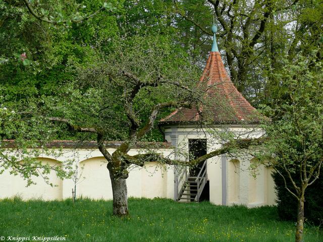 Alte Obstbäume zwischen Klostermauern