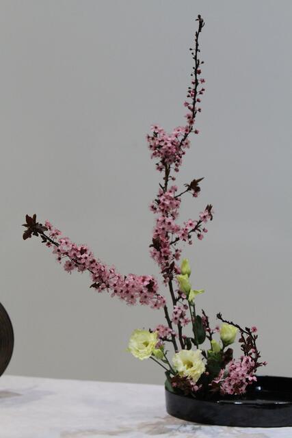 Ikebana