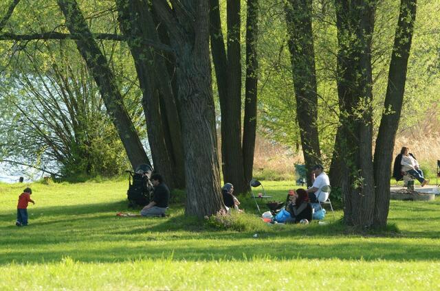 Der Salzgittersee: eine herrliche freizeit-idee !
