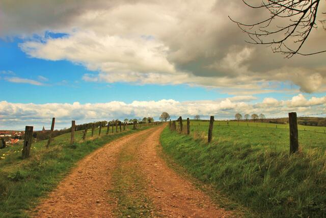 ...und man verliert sich in einer wunderschönen Feld- und Wiesenlandschaft.  Waldecker Land oberhalb Waldeck-Freienhagen!