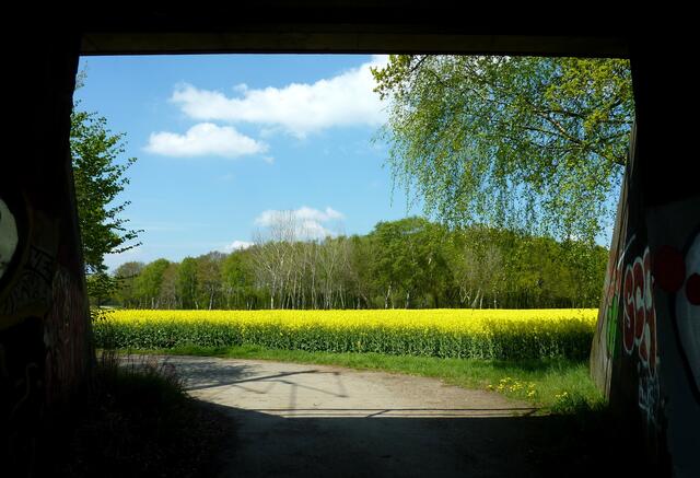 Der Tunnel verliert durch den herrlichen Ausblick sein hässliches Ambiente.