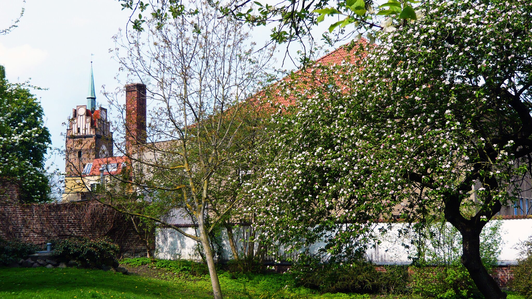 Grüne Oase im Rostocker Stadtzentrum Der Garten des früheren Klosters