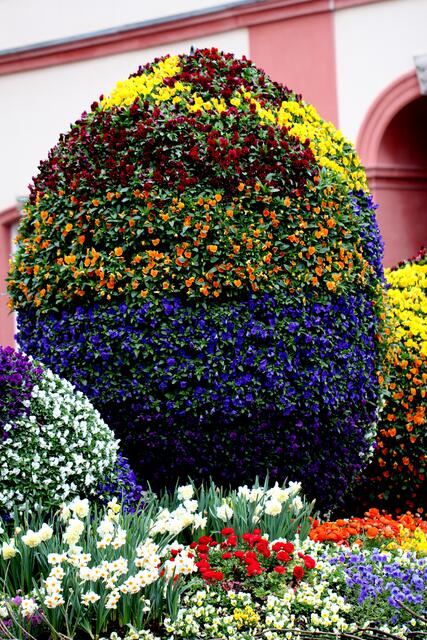 schönes großes Blumenosterei - die Mainau lässt eben Blumen sprechen