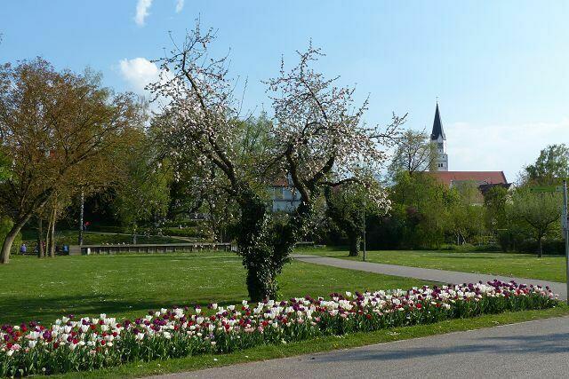 Blick zur Stadtpfarrkirche