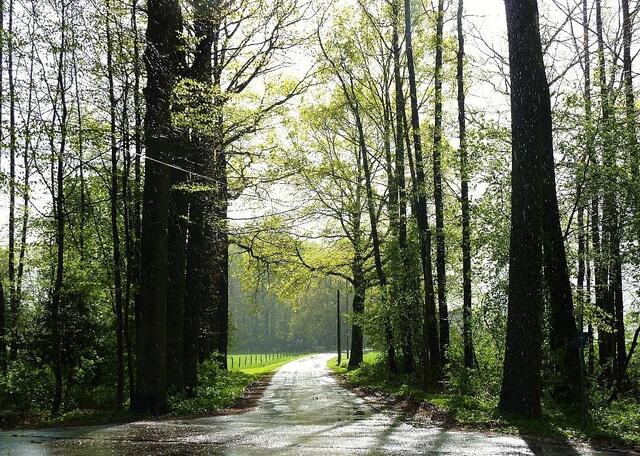 Ein feuchter Apriltag mit Sonne