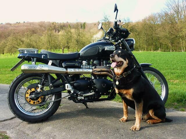 Und abschließend... Motorradzuwachs im April ;o) Jetzt brauche ich nur noch einen Beiwagen für das Hundchen