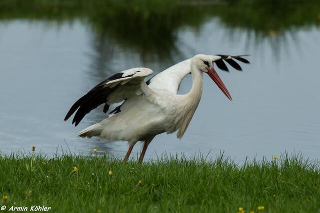 Abflug üben