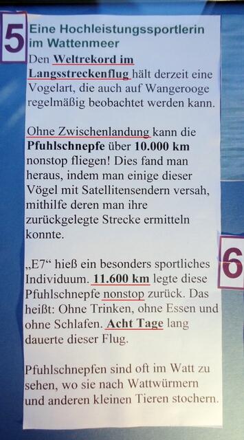 Hintergrund des Weltrekordes