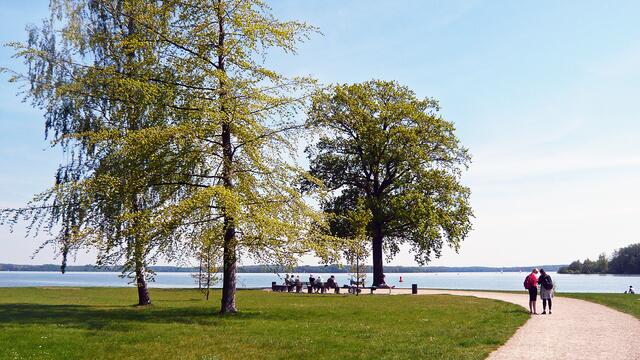 Die Promenade auf der Marstallhalbinsel führt am Schweriner See entlang.