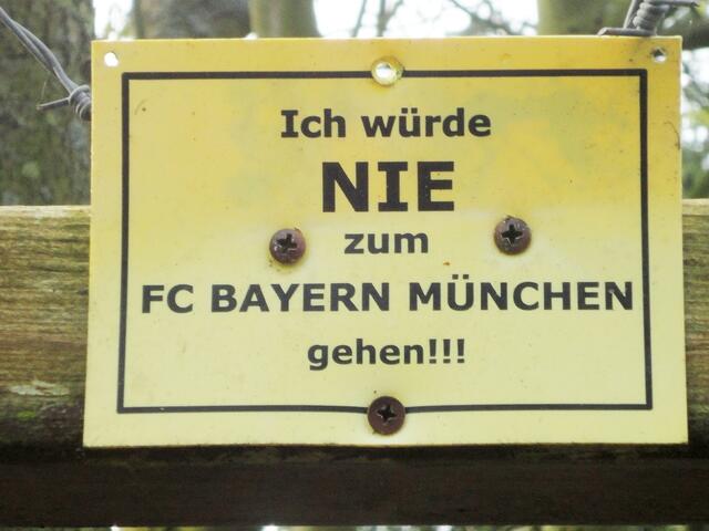 wohl kein Bayern Fan
