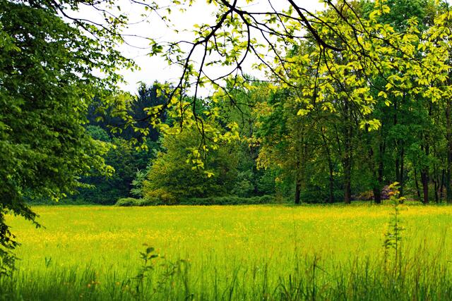 Regentag im Kurpark
