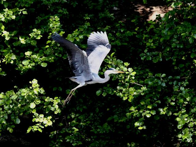 Allen einen guten Flug in den Wonnemonat Mai ;-)