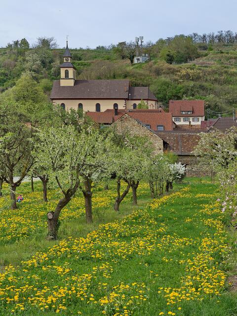 Wasenweiler am Kaiserstuhl-Radweg
