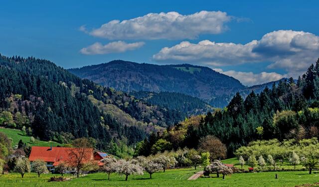 Frühling im Müstertal