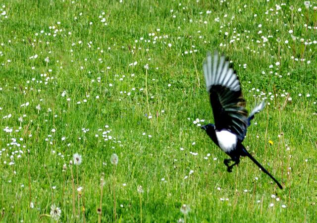 Abflug