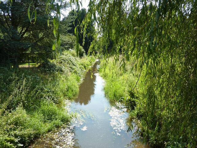 Üppige Vegetation an einem bezaubernden Flüsschen