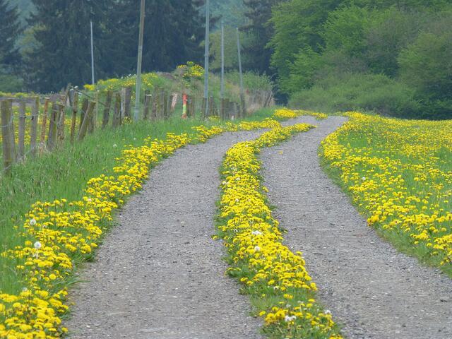 Ein Weg den man gerne geht!