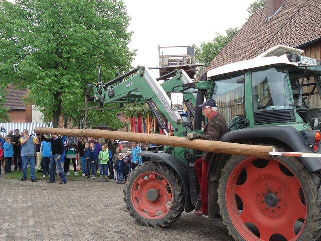 Auch der Stamm ist schon da