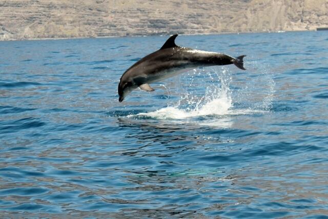 Höher geht's nicht!