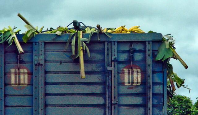 Wir überholen einen Bananenlaster