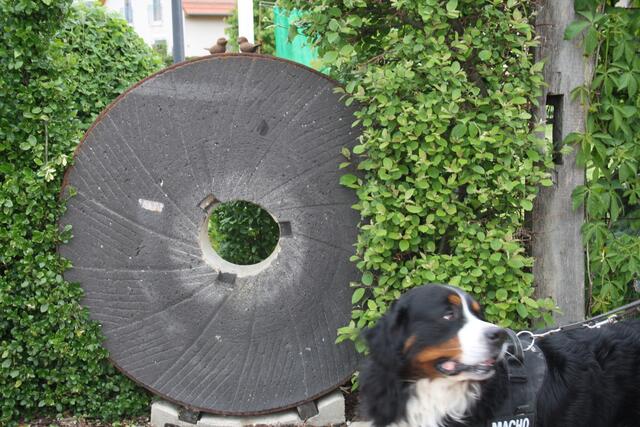 Mühlstein am Zaun zum Mühlengrundstück