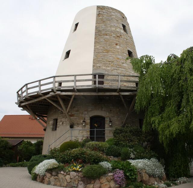 der Mühlenturm ist jetzt zur Wetterseite neu verputzt da Regenwasser durch die Fugen seinen Weg in die Mühle fand