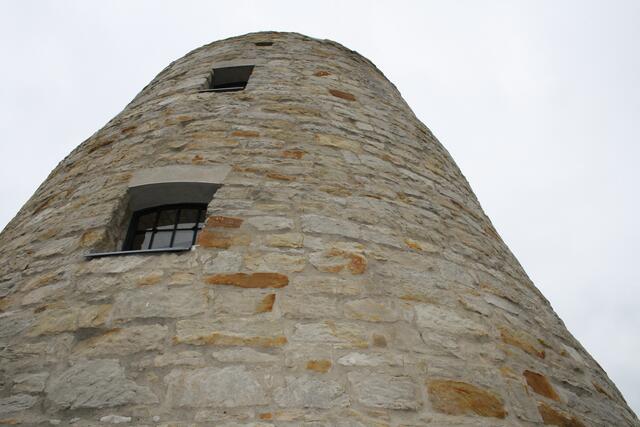 ganz oben im Turm haben jetzt auch Falken ihr Zuhause gefunden