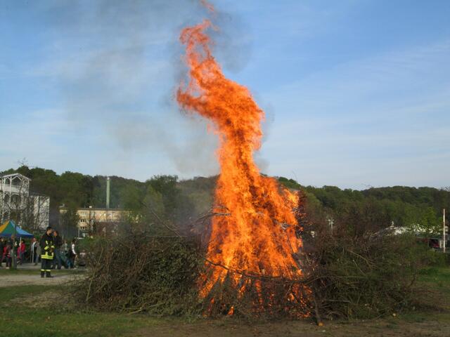 Sieht aus, wie ein Feuerdrache!!